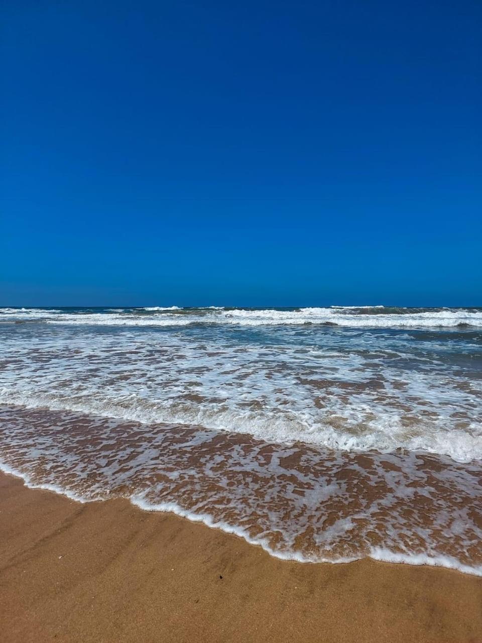 Bel Appartement De Plage - Rdc - Dahomey Beach 布兹尼盖 外观 照片